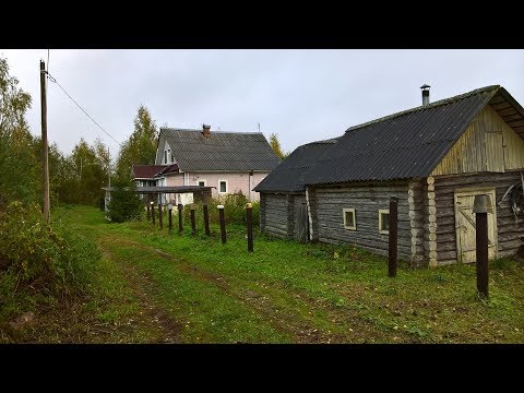 Видео: Мой Дом в деревне. Участок. Ремонт и последствия.