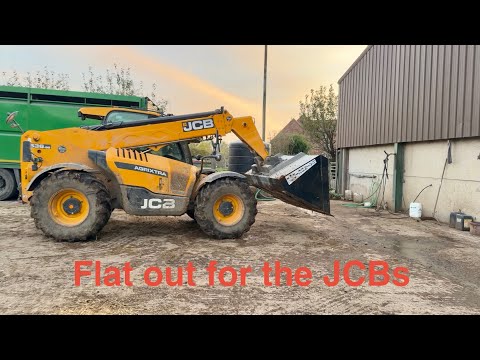 Видео: 2 дня втиснуты в одно видео 😝