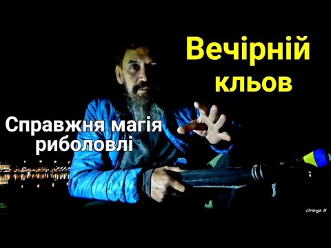 Видео: Рибалка в Києві Бички вдень, плітка вночі Вдала риболовля