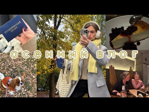 Видео: учебный влог (без учебы): моя осенняя рутина