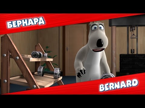 Видео: БЕРНАРД: Спортзал 2 и многое другое | Подборка серий