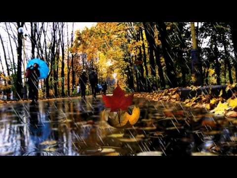 Видео: Листики -кораблики.  Автор Е. В.  Кислицина, вокал Юлия Селиверстова