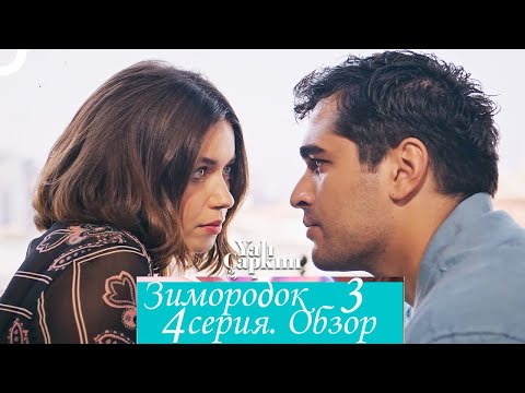 Видео: Зимородок 3  Серия 4  Обзор   пересказ