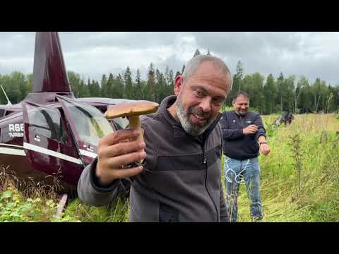 Видео: "Больше не пойду за грибами ни за что!"
