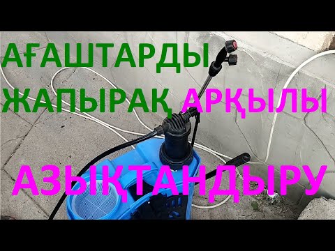 Видео: АҒАШТАРДЫ ҚЫСҚЫ ҰЙҚЫҒА ДАЙЫНДАУ. |Подготовка сада к зиме| #garden #бақ #сад