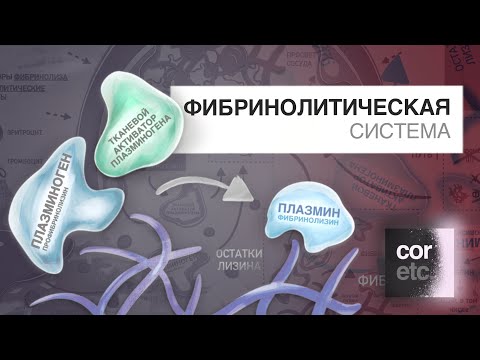 Видео: Фибринолитическая система. Фибринолиз.