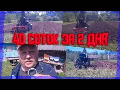 Видео: Подготовка участка к посадке за 2 дня.