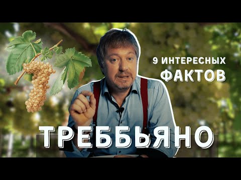 Видео: Сорт винограда [ТРЕББЬЯНО] - 9 интересных фактов