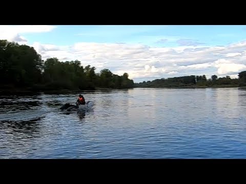 Видео: Управляю лодкой без рук! Комплект лодка 280 НДНД + мотор Тохацу 2.5 л.с.