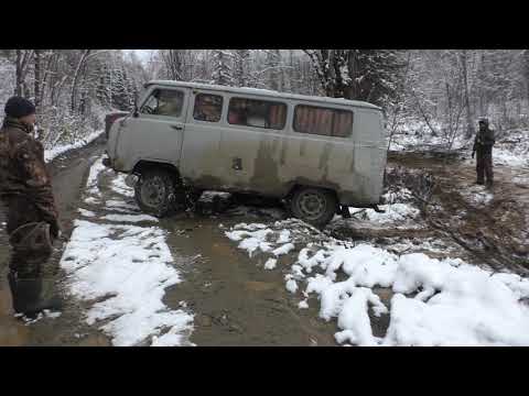 Видео: Буханки,нива,Заслонка,Осень 2020