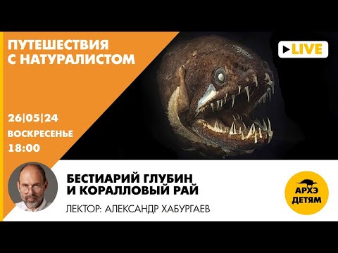 Видео: Занятие "Бестиарий глубин и коралловый рай" // Путешествия с натуралистом // Александр Хабургаев
