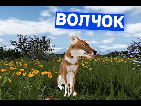 Видео: ВОЛЧОК. Ecos la Brea (драки, захват территории и тд)