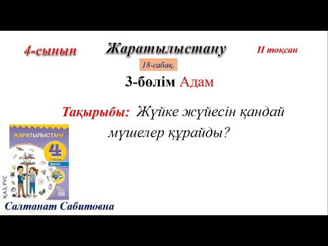 Видео: 4 сынып жаратылыстану 18 сабақ Жүйке жүйесін қандай мүшелер құрайды?