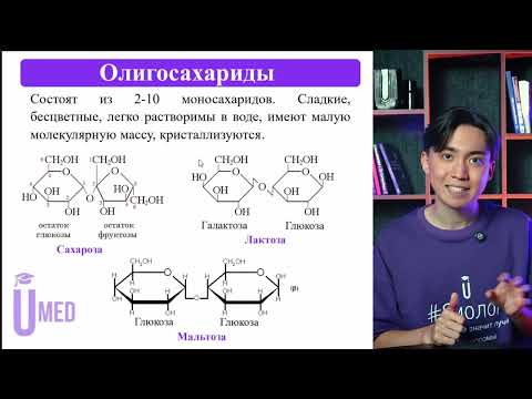 Видео: Биохимия клетки. Что такое БЖУ? Биология ОРТ