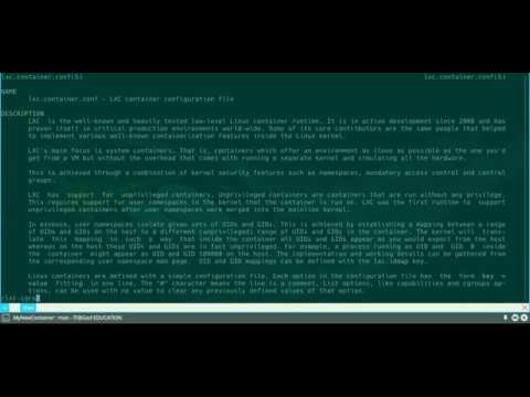 Видео: lxc | lxc-cgroup работа с cgroup | ограничение памяти memory.limit_in_bytes и цпу cpuset.cpus