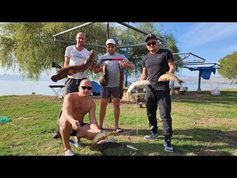 Видео: Рыбалка на озере Кинерет. Карп, усач, кефаль, мушт, сомы в Израиле. 4K