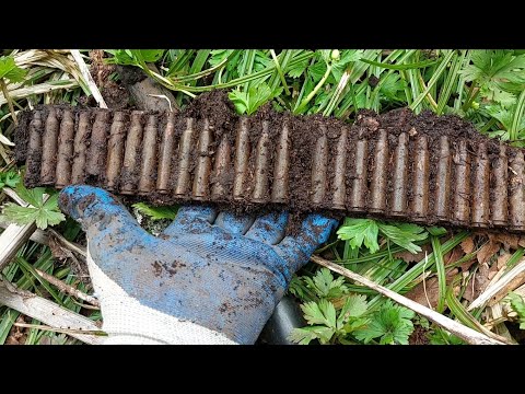 Видео: 10 и 11 мая. Крильон продолжает удивлять. Неожиданные находки.