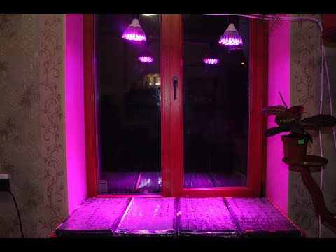 Видео: Консультант Садовода на Усадьбе №3