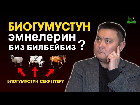 Видео: Биогумустун сырлары тууралу жакшы маек. Каяктан алыш керек жана канча сомдон алса болот.