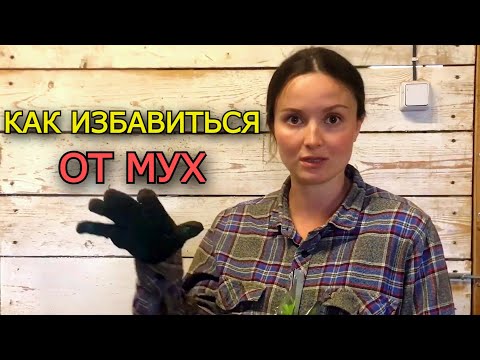 Видео: КАК ИЗБАВИТЬСЯ ОТ ВСЕХ МУХ НА ВАШЕМ ХОЗЯЙСТВЕ