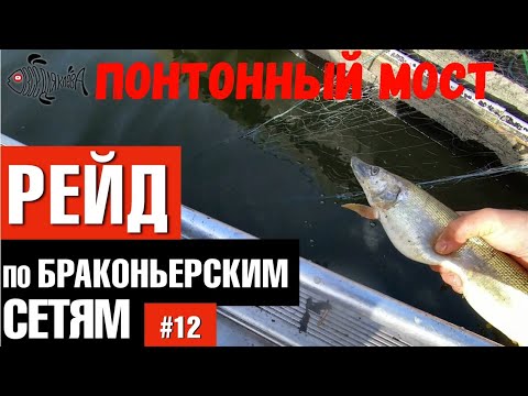 Видео: Троицкий понтонный мост / Рейд по браконьерским сетям #12