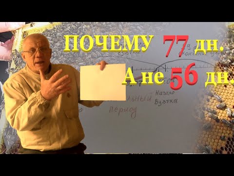 Видео: Весеннее развитие пчелиных семей Оптимальный период на главный взяток