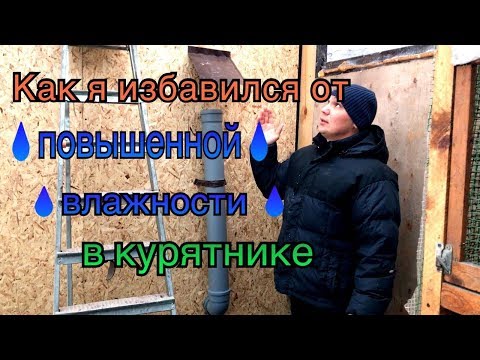 Видео: Как я избавился от повышенной ВЛАЖНОСТИ в курятнике...