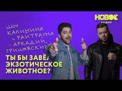 Видео: Утреннее шоу «1+1 — Калинин и Райтраун»: Какое экзотическое домашнее животное ты бы хотел?