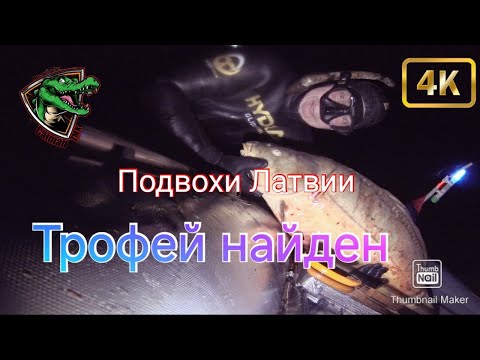 Видео: В поисках трофея #9 🤿| Верховья Лиелупе |