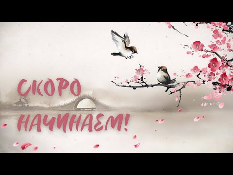 Видео: Котик наводит шороху - Little Kitty, Big City