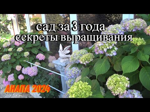 Видео: Вечерние встречи. Сад во французском стиле под Анапой