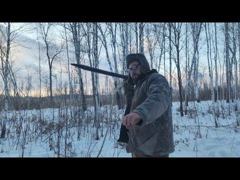 Видео: Охота на медведя с ломом 🔥