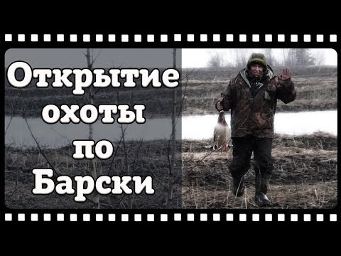 Видео: О том как я одним выстрелом двух селезней взял..