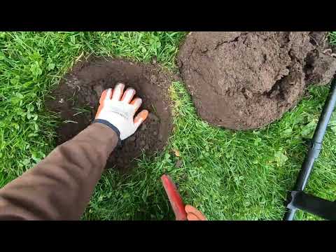 Видео: КОПАЙ СЕРЕБРО ВЖИВУЮ!! Еще один наемник с Minelab Manticore на свалке.