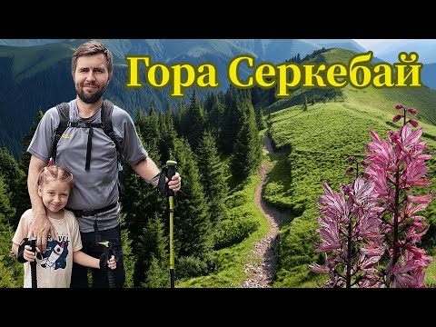 Видео: Гора Серкебай: супер-маршрут для семей и детей! Вид, еда и кайф!