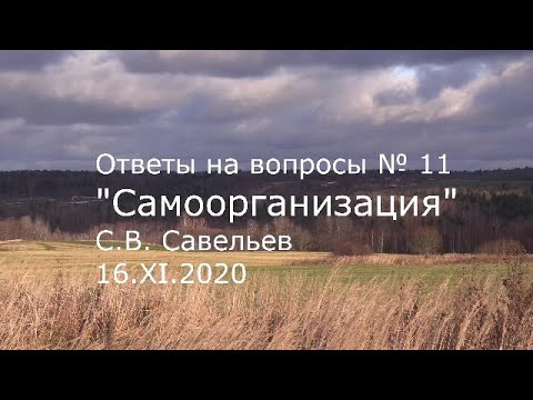 Видео: С.В. Савельев - Самоорганизация