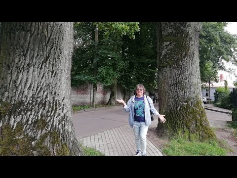 Видео: Центральный район.ул.Тихоненко./Юдиттен-кирха. Самое старое здание./