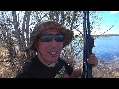 Видео: Весенняя охота на уток на Севере Якутии. часть 1