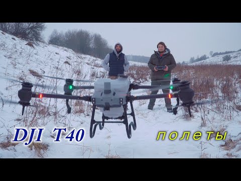 Видео: Агродрон Dji t40 полеты