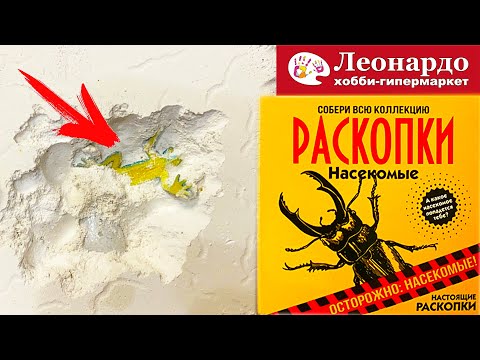 Видео: РАСКОПАЛИ ДИНОЗАВРОВ и СОКРОВИЩА ! ОБЗОР НАБОРОВ РАСКОПКИ ИЗ ЛЕОНАРДО