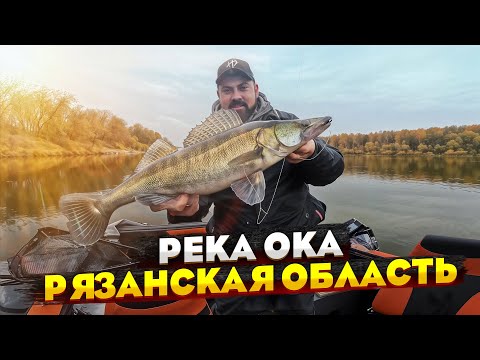 Видео: КАК же ДОЛГО ЖДАЛ ЭТУ РЫБУ | ЩУКА и СУДАК на спиннинг осенью. Рыбалка с лодки в Рязанской области.