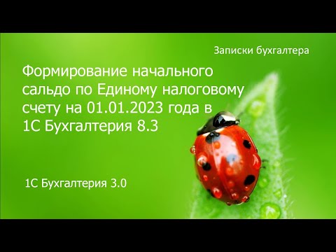 Видео: Формирование начального сальдо по ЕНС на 01.01.2023 г. в программе 1С Бухгалтерия 3.0