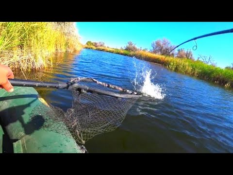 Видео: ГОЛОДНЫЕ ЩУКИ ДЕРЕВНИ ГЛОТАЮТ СИЛИКОН !!! 💥💥 РЫБАЛКА НА ДЕРЕВЕНСКОЙ РЕЧКЕ 🔥ЩУКА ОКУНЬ