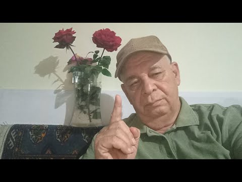 Видео: ТУРЦИЯ! О ПРОПАЖЕ ЖЕНЩИНЫ ИЗ ОТЕЛЯ! 