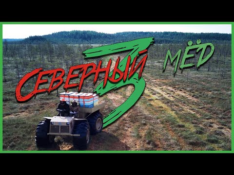 Видео: Мёд с болот 2023. Короткая версия