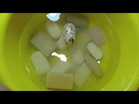 Видео: Мыление 🧼Сет...