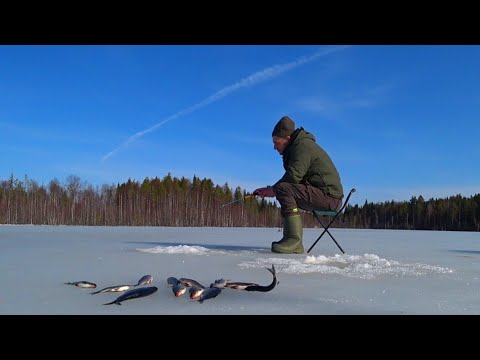 Видео: Рыбалка на Мормышку и Блесну. Закрываю Сезон