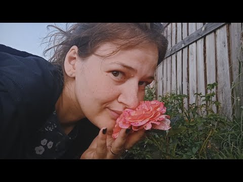 Видео: Кружу вокруг роз в длинные июньские выходные