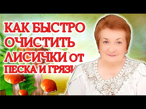 Видео: Как быстро очистить лисички от песка и грязи: забудьте о воде и соли!