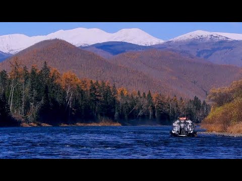 Видео: Поход на меленький, но очень гордый приток реки Анюй / Уютный лагерь / аэролодка Север / Заур